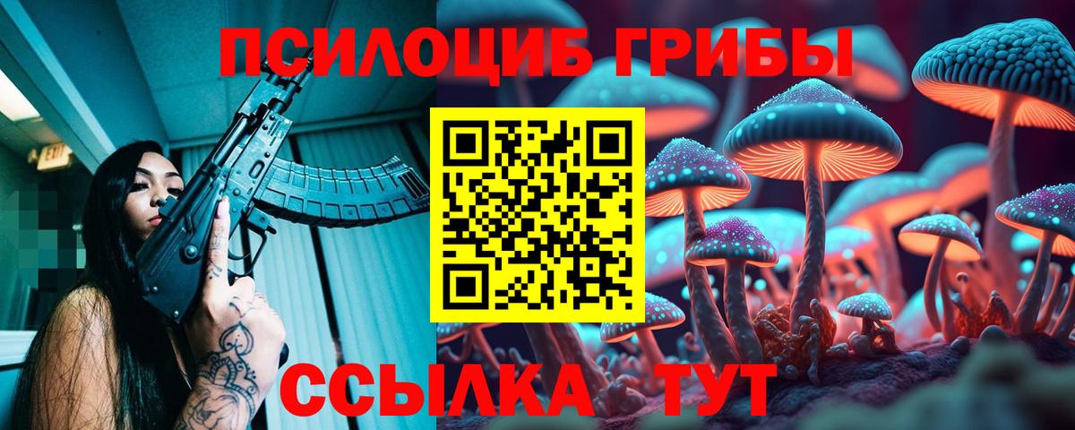Галлюциногенные грибы мицелий Сегежа