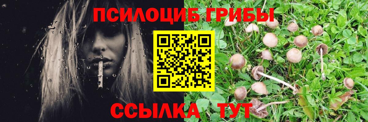 Сегежа  Псилоцибиновые грибы GOLDEN TEACHER  Вход с VPN 